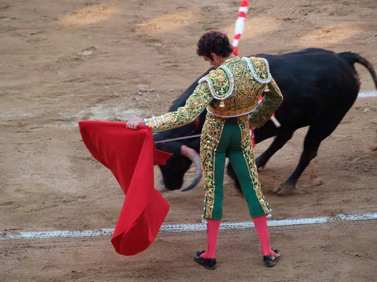 Un torero espa&ntilde;ol, con traje de luces bordado, se enfrenta a un toro negro en la arena.