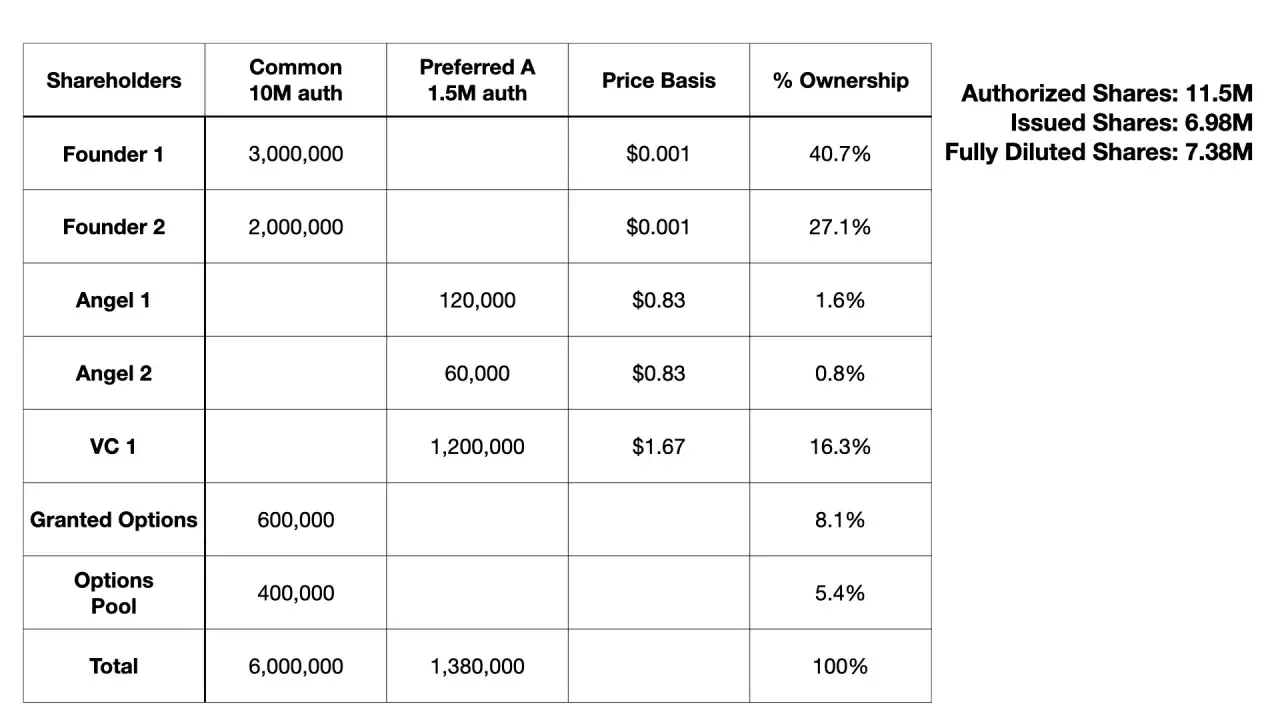 Table shows shareholder breakdown, with founders' significant stake representing their sweat equity. Authorized, issued, and fully diluted shares are also listed.