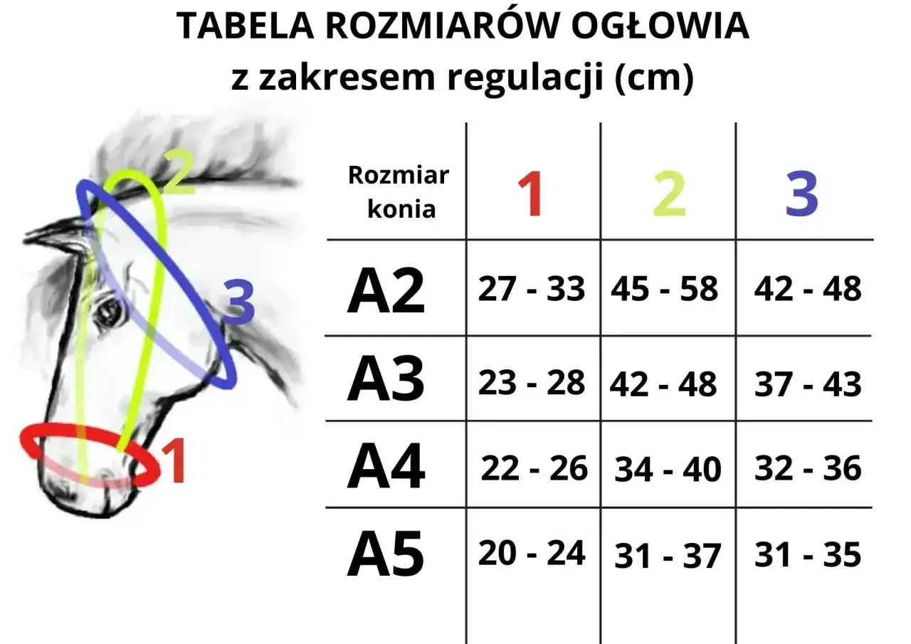 Tabela rozmiarów kantarów dla koni z zaznaczonymi obwodami głowy (1, 2, 3) i rozmiarami koni (A2-A5).