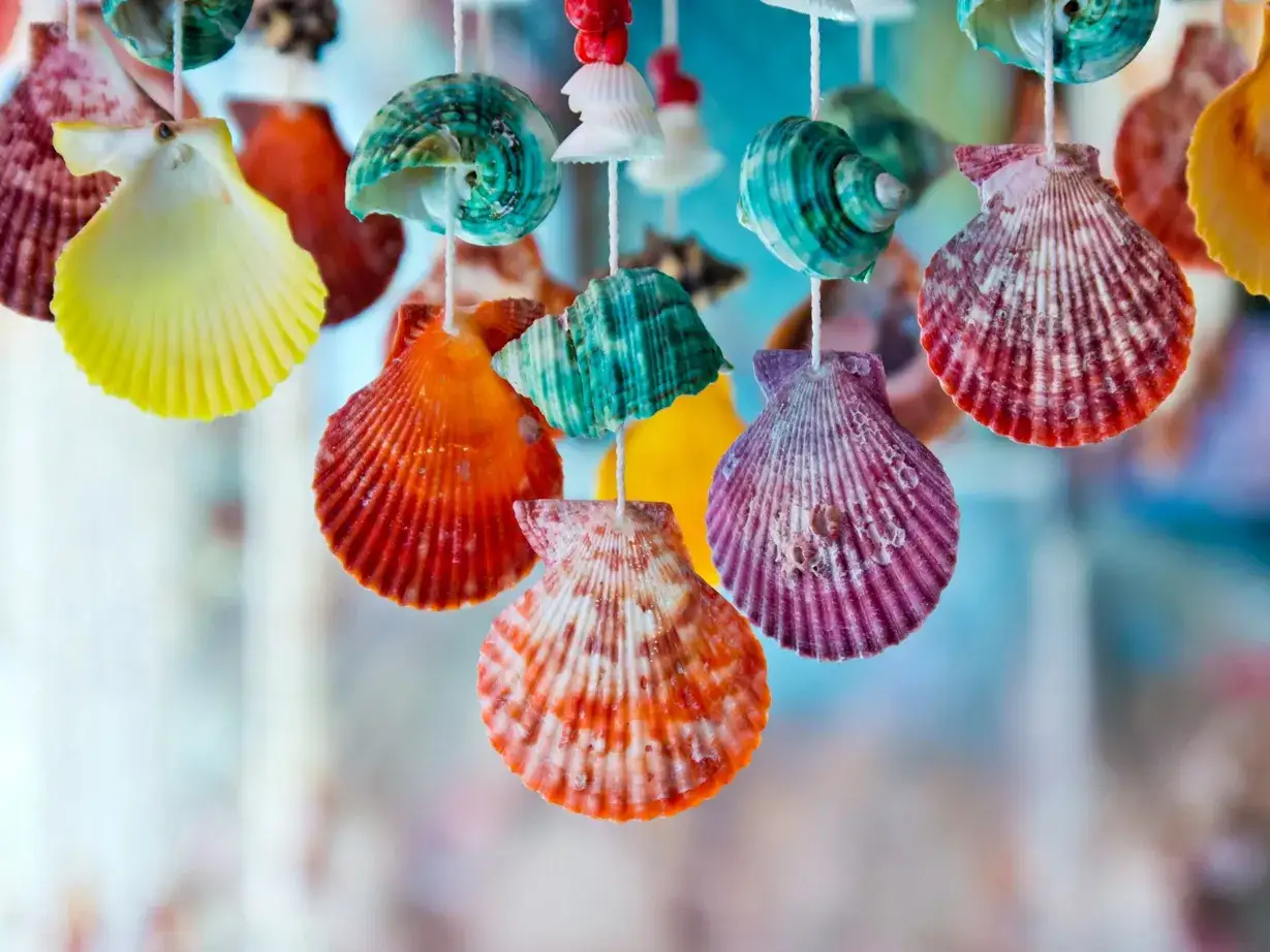Bunte Muscheln, aufgehängt wie ein Mobile, erinnern an sommerliches Basteln am Meer.