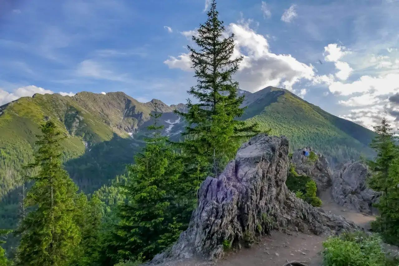 Widok z Rusinowej Polany na Tatry. Skaliste formacje, wysokie drzewa i zielone zbocza gór tworzą malowniczy krajobraz.