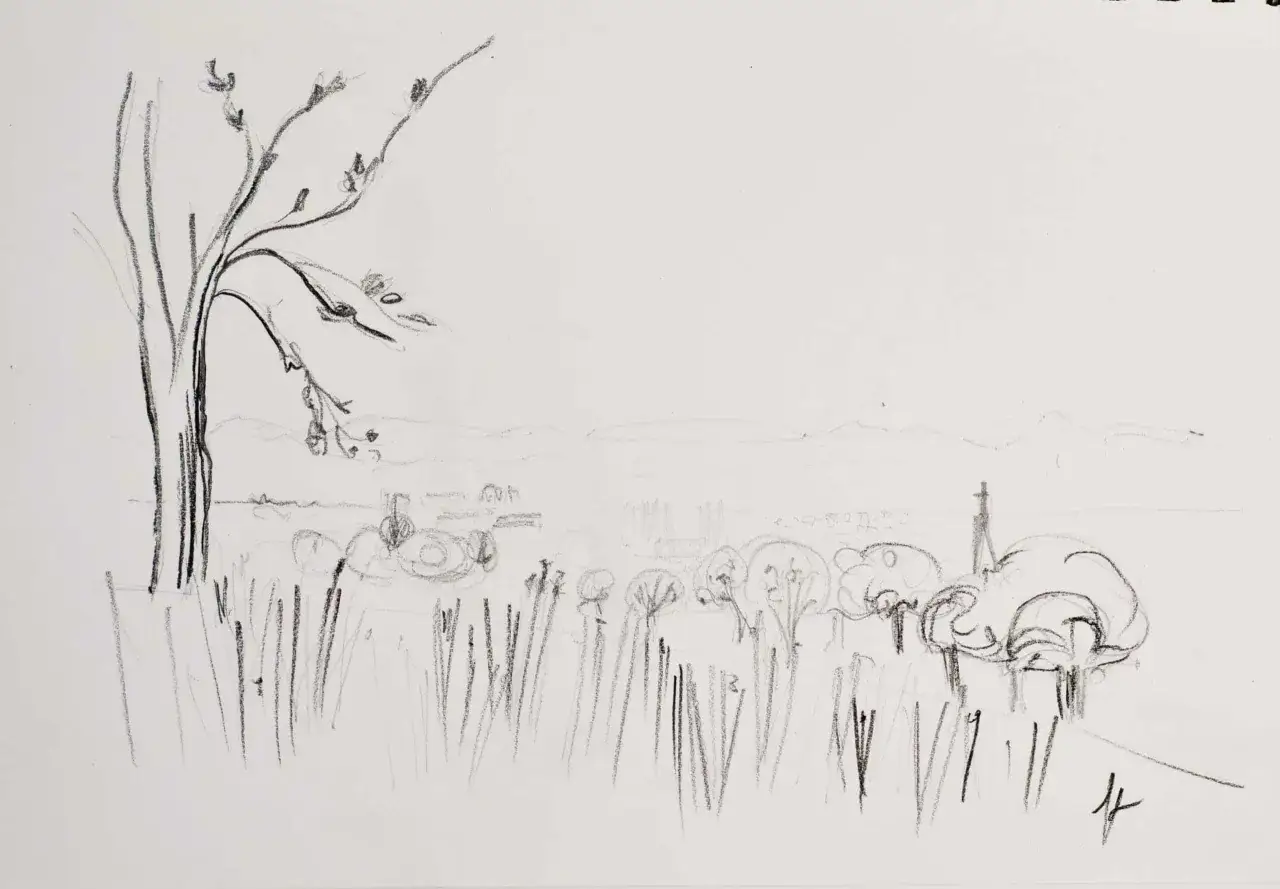 Un dessin facile &agrave; faire pour d&eacute;butant : un paysage avec un arbre d&eacute;nud&eacute;, des herbes hautes et des collines lointaines.