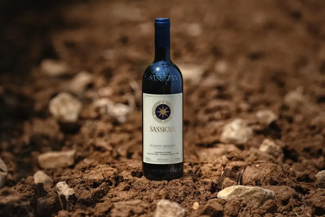 Bottiglia di Sassicaia 2021 su terreno arato. Un vino che promette un punteggio eccellente, radicato nella terra toscana.