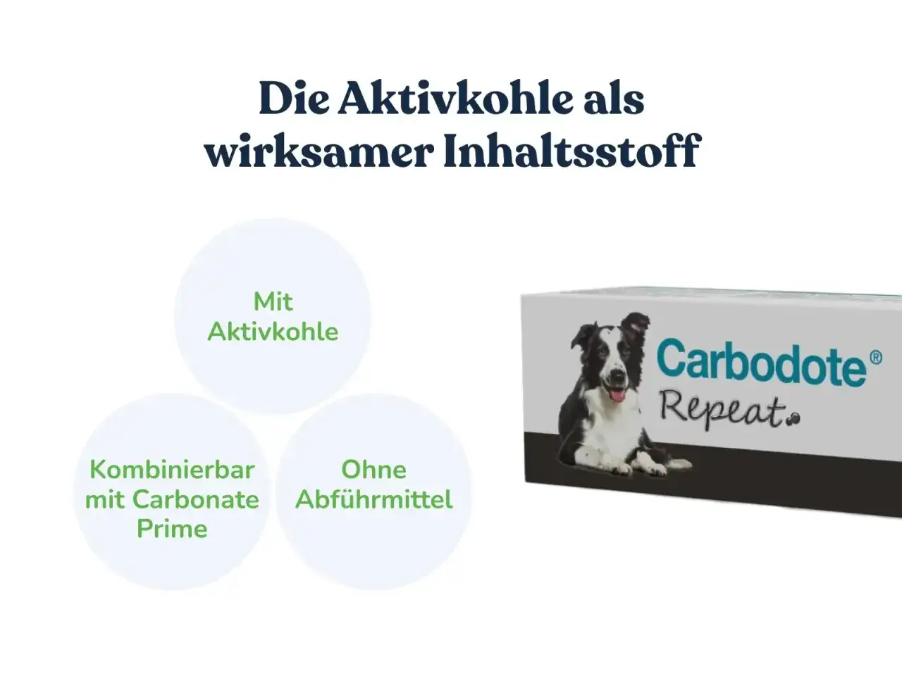 Carbodote Repeat: Aktivkohle f&uuml;r den Hund. Hilft bei Verdauungsproblemen, ohne Abf&uuml;hrmittel.