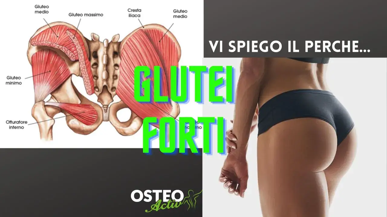Anatomia del gluteo medio e massimo, con un focus su glutei forti.