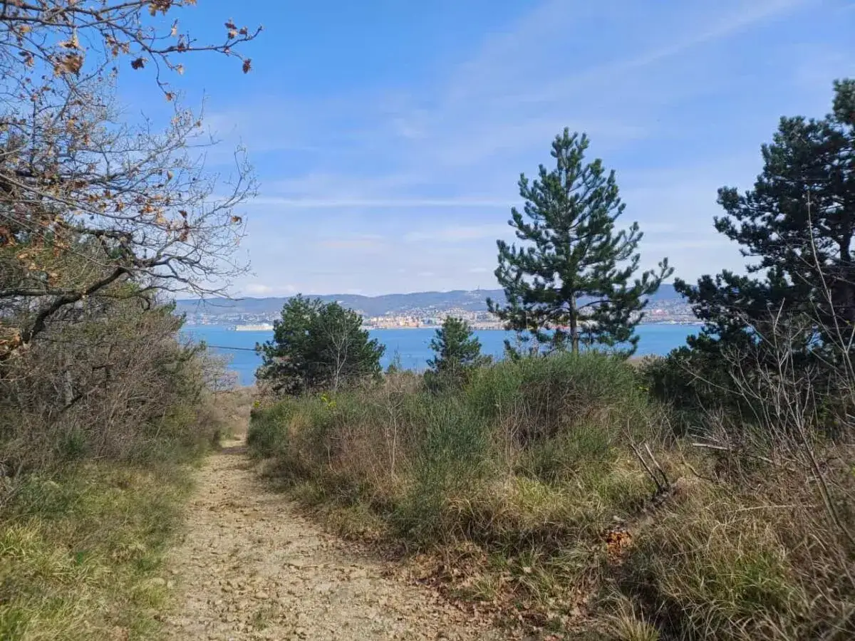 Sentiero sterrato sul Cammino Via Flavia, con vista sul mare e sulla citt&agrave; in lontananza.