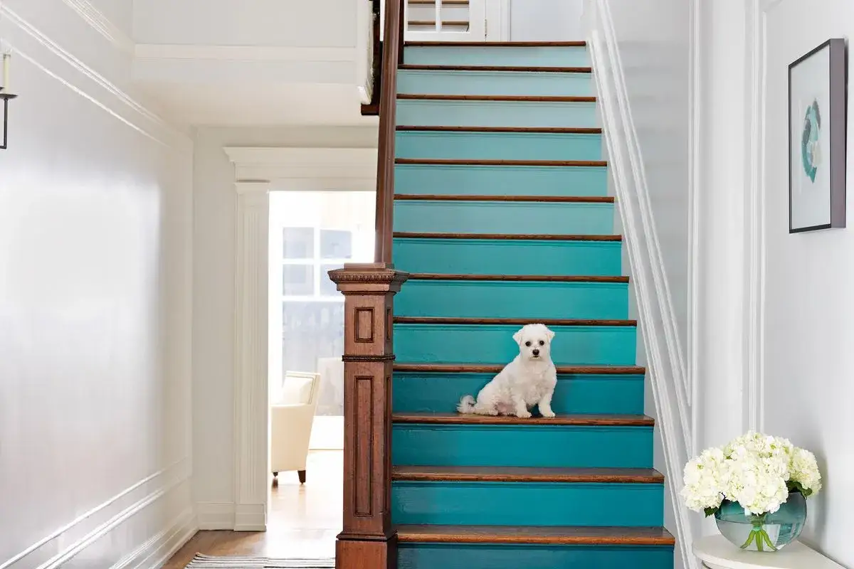 A fluffy white dog sits on a step of painted stairs. The stairs are painted a vibrant teal, with wooden treads.