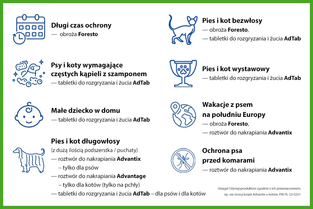 Porównanie metod ochrony psa przed kleszczami