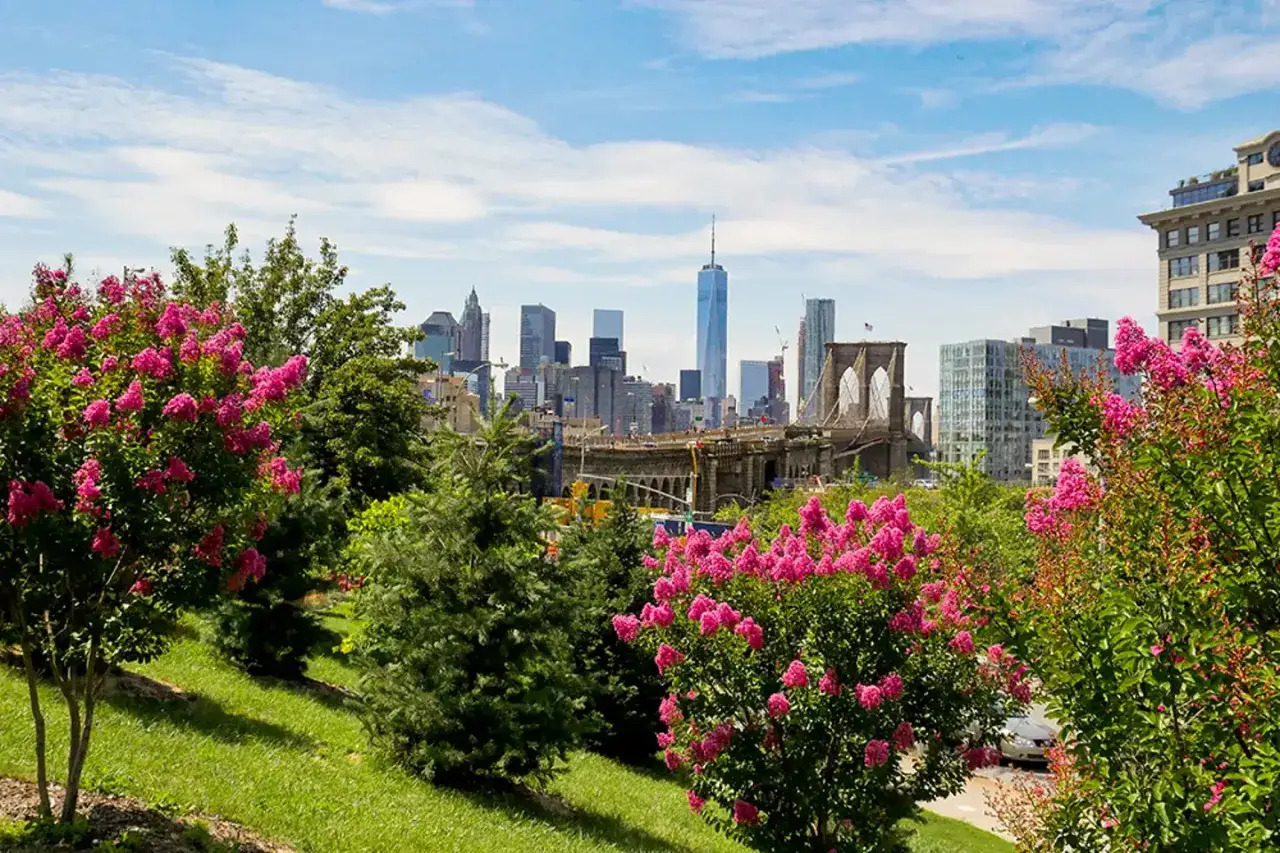 Majowa pogoda w Nowym Jorku. Kwitnące krzewy z różowymi kwiatami na pierwszym planie, w tle panorama miasta z Brooklyn Bridge i One World Trade Center.