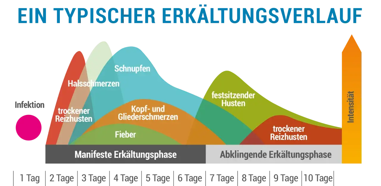 Zdjęcie Die häufigsten symptome grippaler infekt und wie man sie erkennt