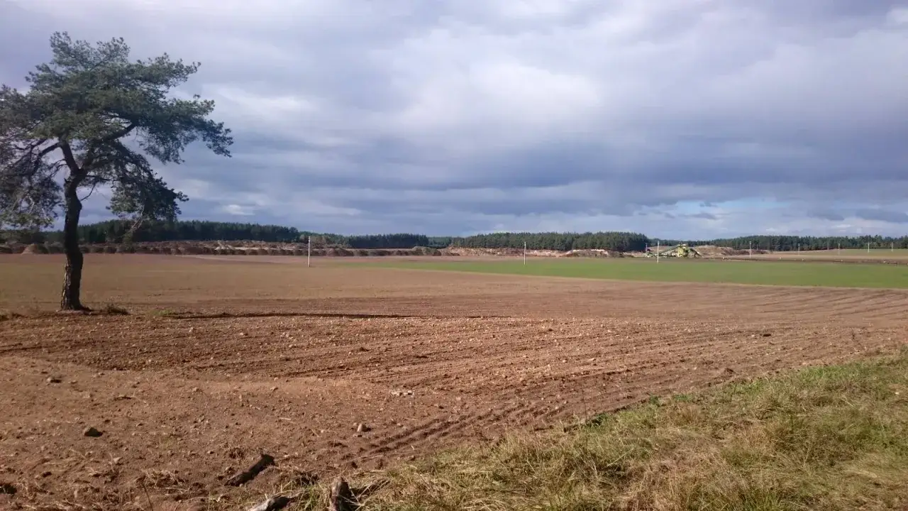 Pole po rekultywacji, z widoczną maszyną budowlaną w oddali. Samotna sosna stoi na skraju zaoranego terenu.