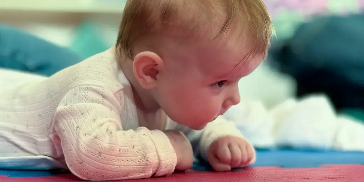 Urocze półtoraroczne dziecko nie chodzi, leżąc na brzuchu i badając otoczenie.