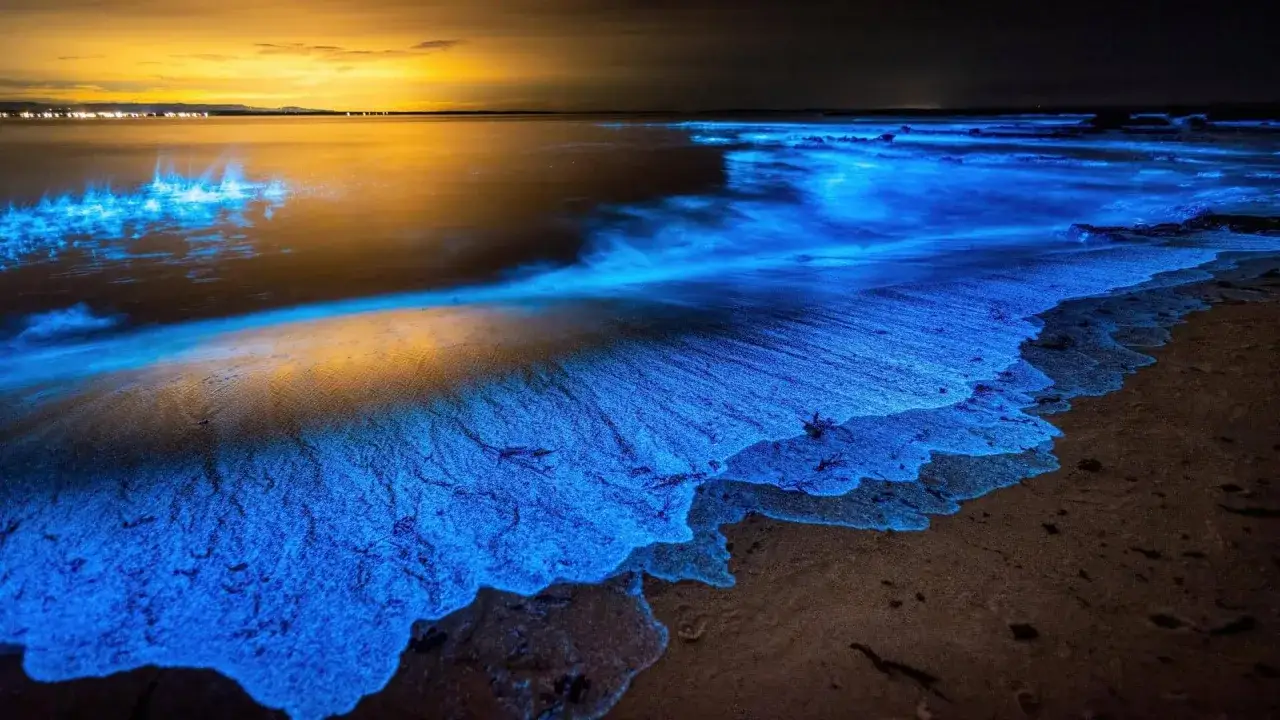 Ein leuchtendes Meer aus Sternen am Strand der Malediven. Die Wellen brechen in blauem Licht, als ob sie den Nachthimmel widerspiegeln.