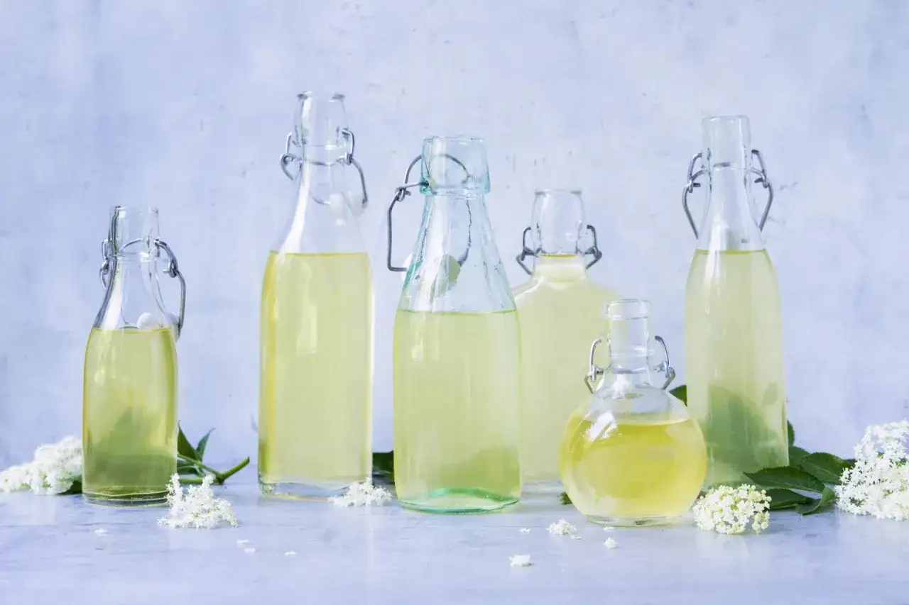 Six bouteilles en verre remplies de sirop de sureau, ornées de fleurs de sureau fraîches.