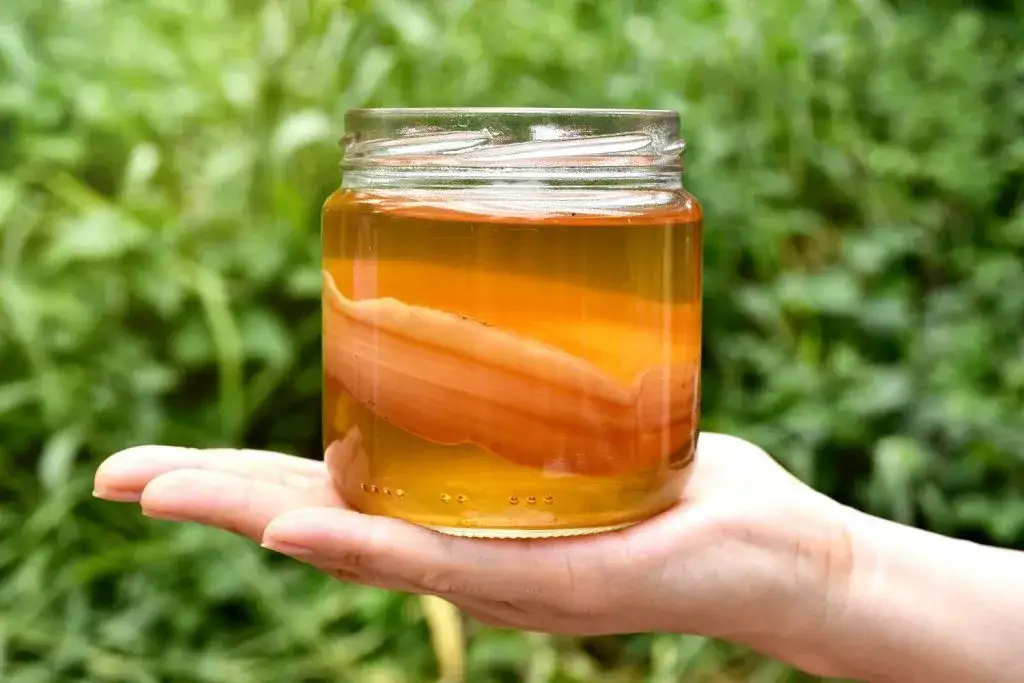 Kombucha w szklance z lat 70. w Polsce