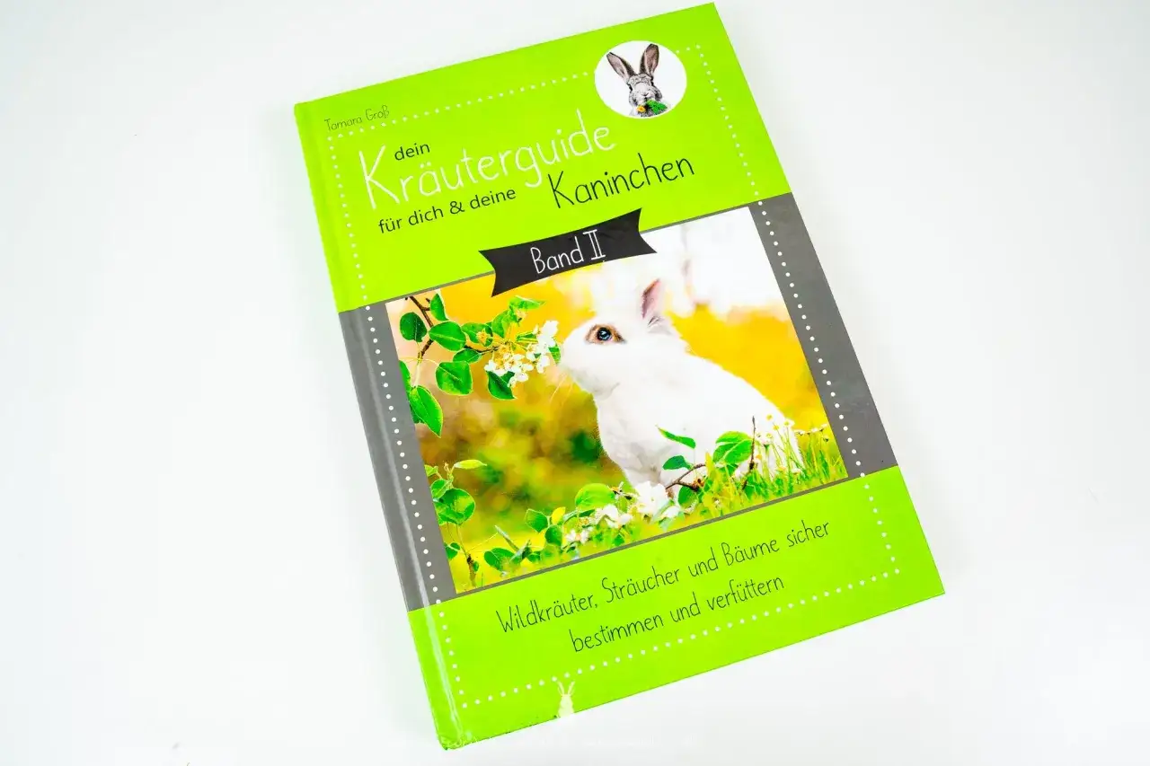 Ein Buchcover mit einem wei&szlig;en Kaninchen, das an Bl&uuml;ten riecht. Der Titel lautet 