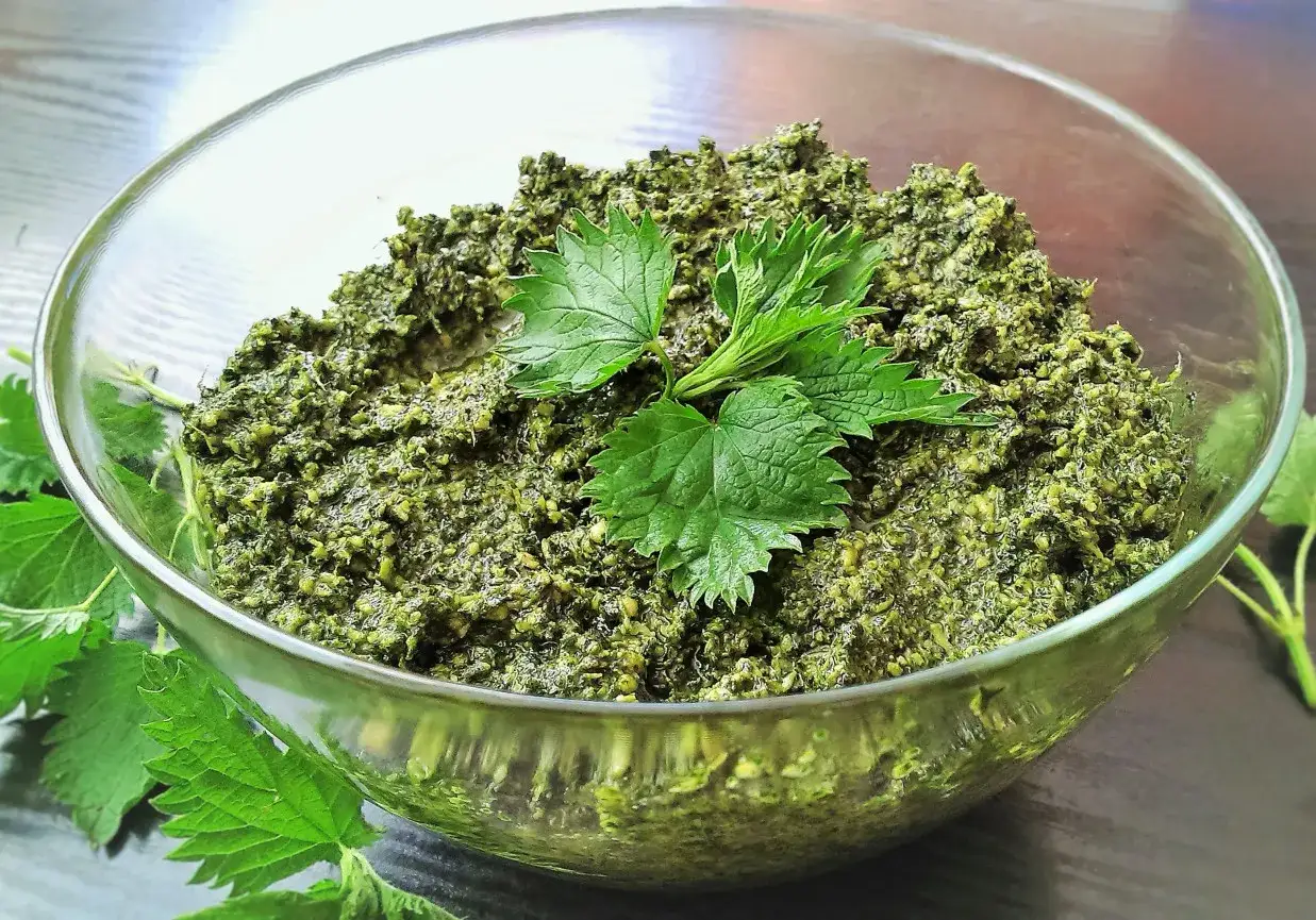 Pesto z pokrzywy w szklanej misce, ozdobione świeżymi listkami pokrzywy.
