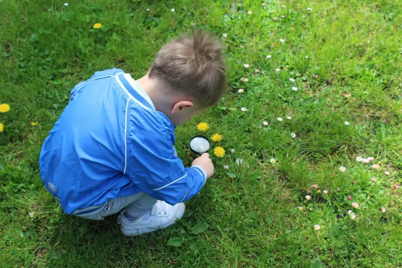 Niño con lupa explorando flores amarillas y margaritas en el césped. Inspiración para frases de primavera para niños.