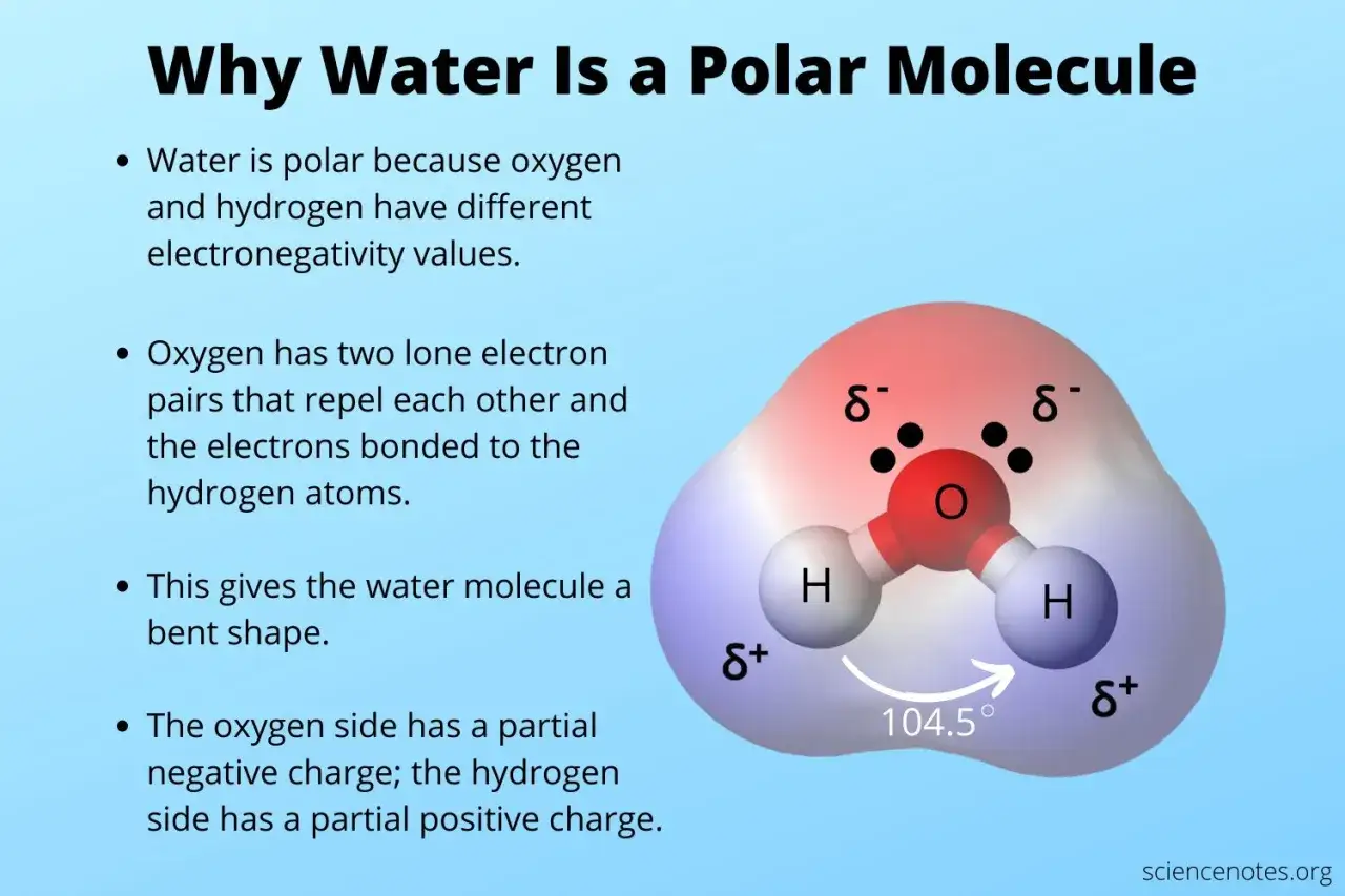 Wassermolekül mit polaren Atombindungen: Sauerstoff (rot) mit negativer Teilladung, Wasserstoff (blau) mit positiver Teilladung.