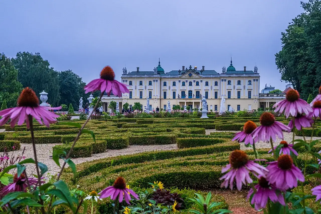 Pałac Branickich, muzeum w Białymstoku, otoczony barokowym ogrodem z kwitnącymi jeżówkami.