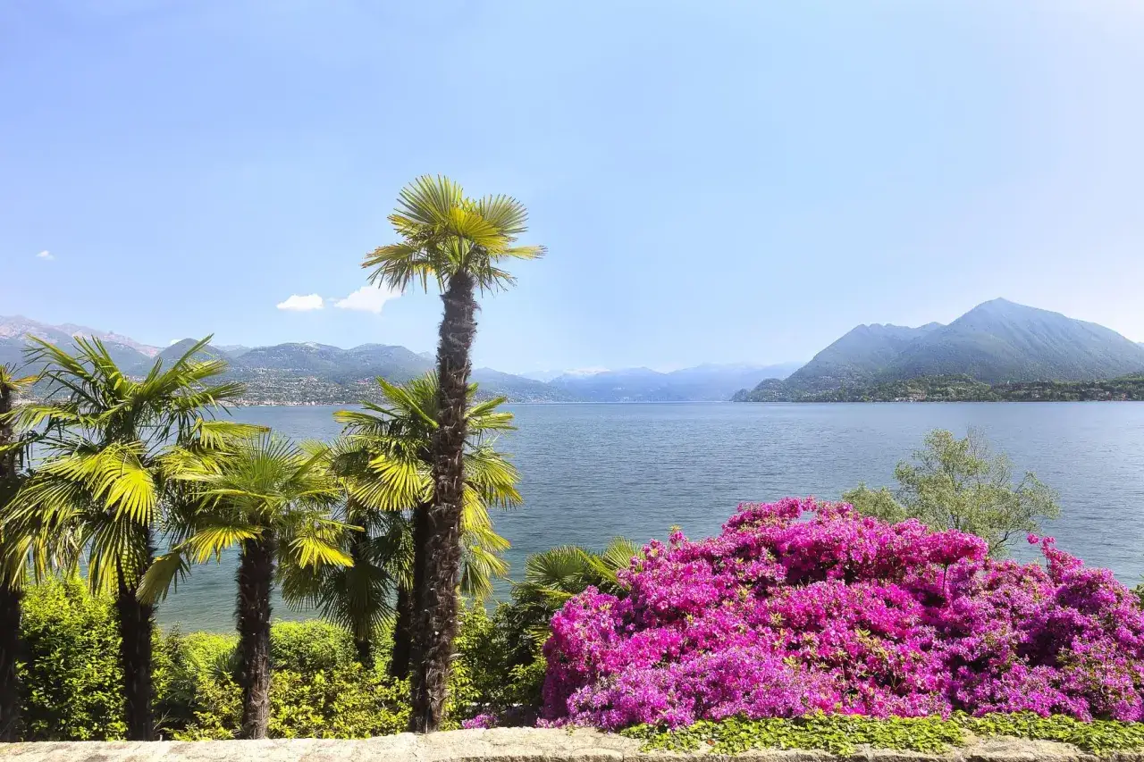 Palme e azalee fiorite incorniciano uno dei quattro laghi del nord Italia, con montagne sullo sfondo.