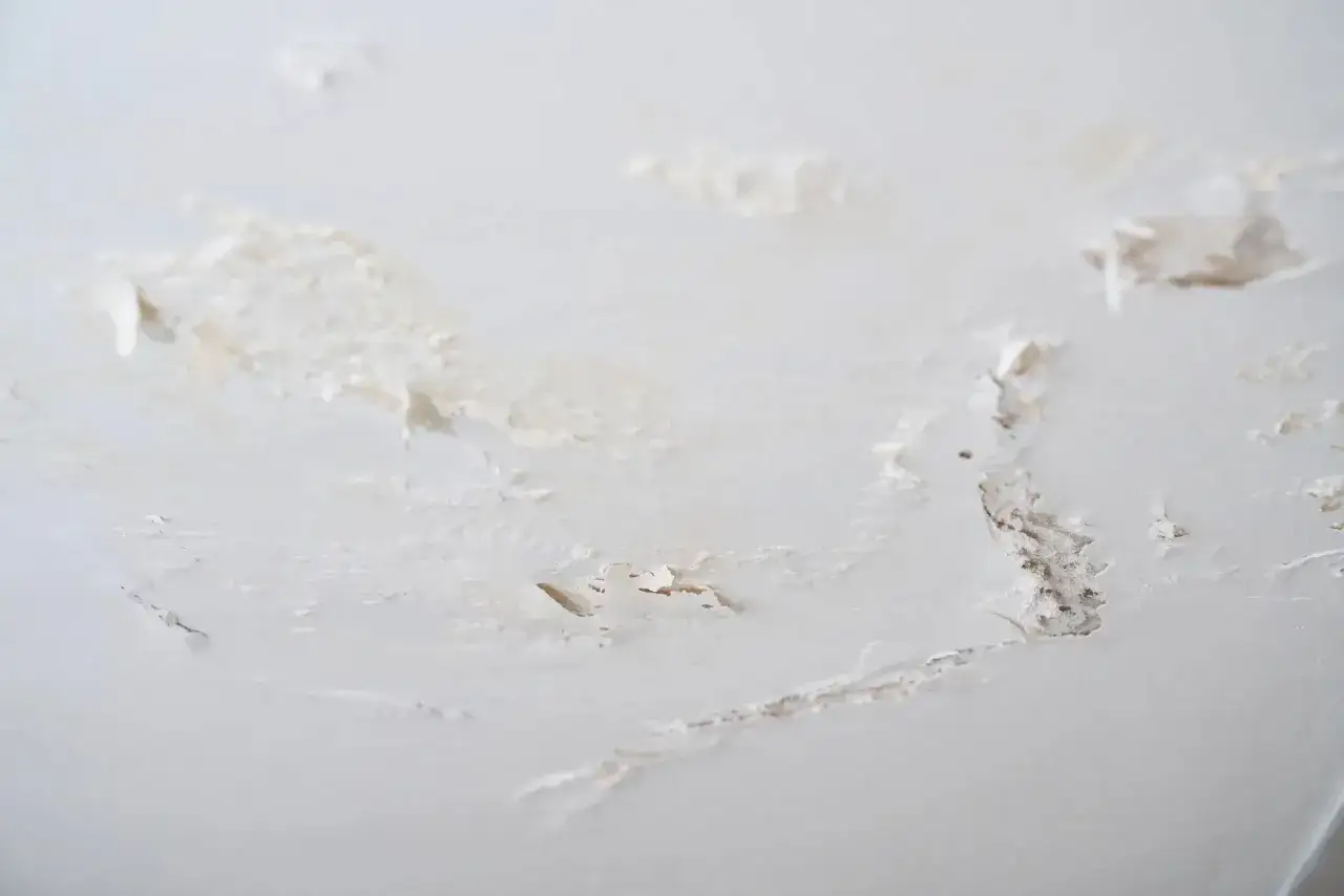 Plafon abîmé, peinture écaillée et traces de salpêtre. Il est temps de nettoyer et de rénover.