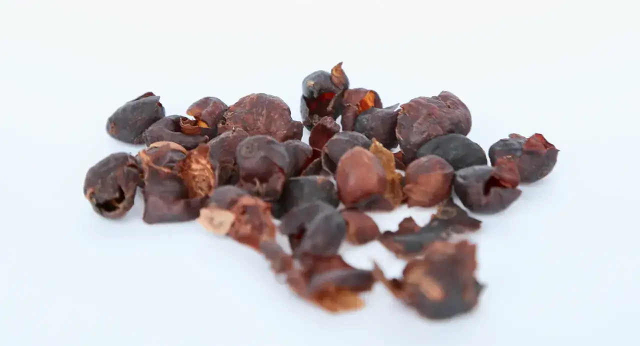 Suszone owoce kawy, znane jako cascara, z widocznymi naturalnymi właściwościami.