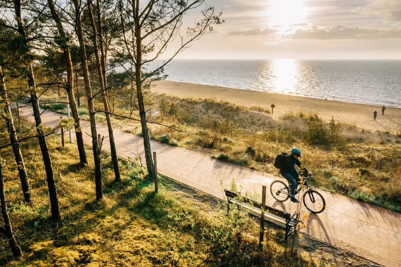 Rowerzysta mija ławkę na ścieżce w lesie sosnowym, prowadzącej do piaszczystej plaży nad morzem. Słońce odbija się od wody.
