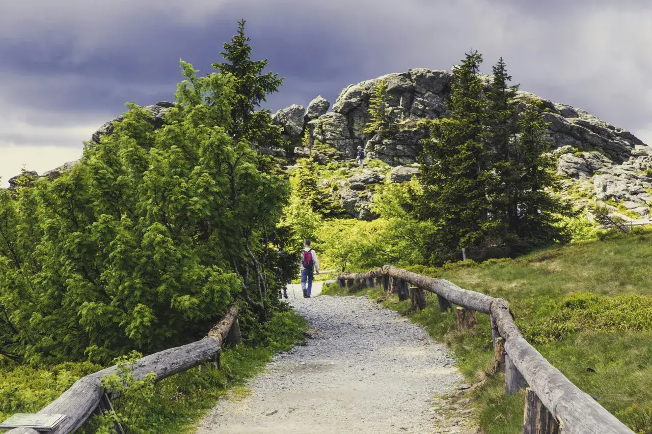 Wanderer auf einem Schotterweg in einem wilden Nationalpark, umgeben von &uuml;ppigem Gr&uuml;n und felsigen Gipfeln.