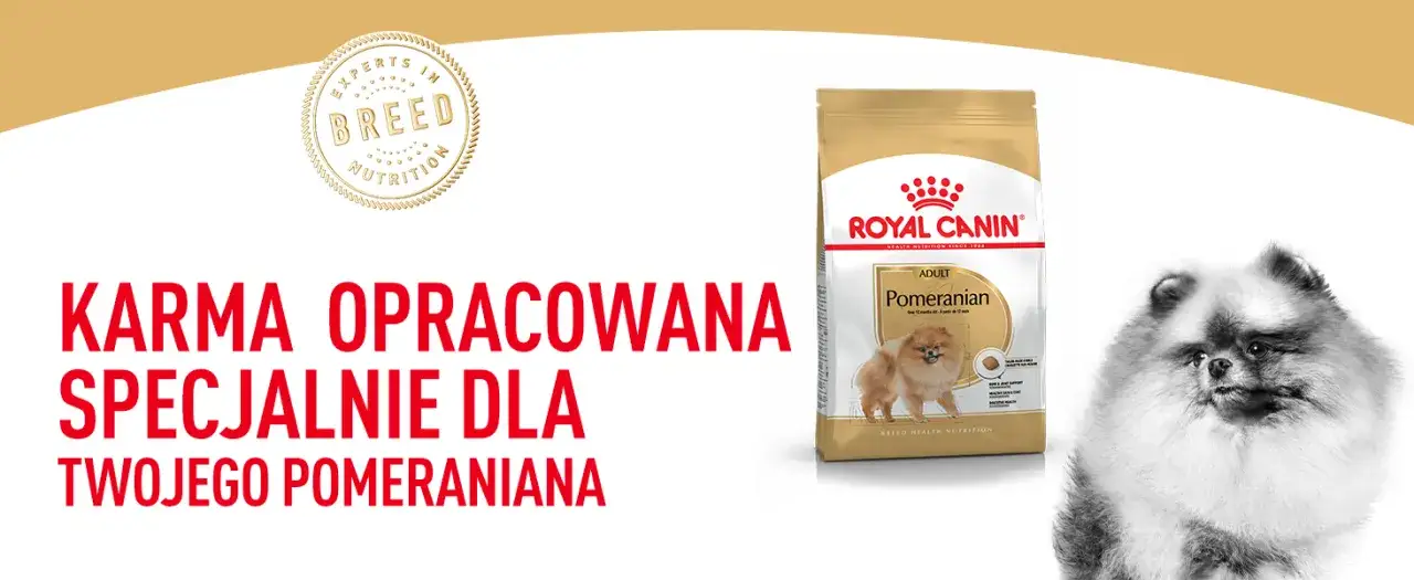 karma sucha i mokra dla szczeniaka pomeraniana