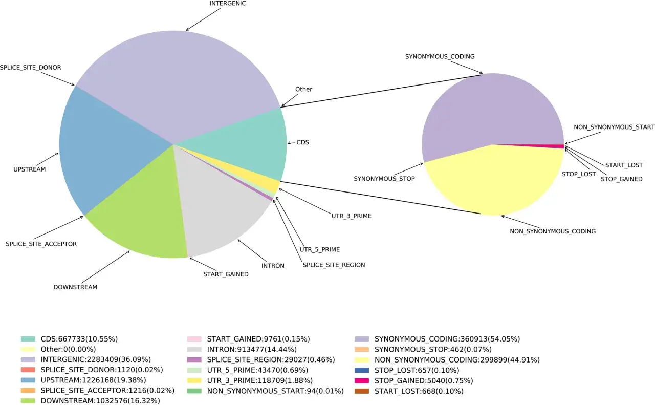 Gráficos circulares que muestran la diversidad genética en diferentes regiones genómicas, incluyendo CDS, intrones y UTRs.