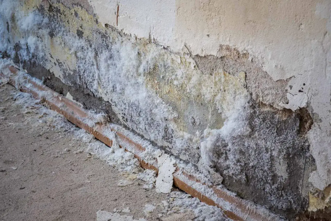 Salzausblühungen und abblätternder Putz an der Wand zeigen deutliche **Feuchtigkeit Balkonunterseite**. Ein trauriges Bild.