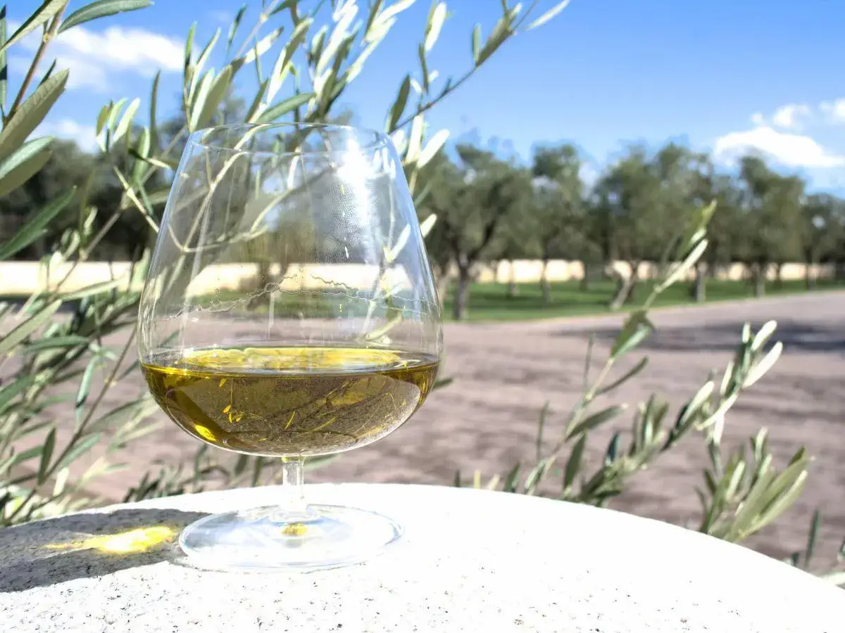 Calice di olio extra vergine d'oliva, con ulivi sullo sfondo, un assaggio della tradizione degli oleifici puglia.