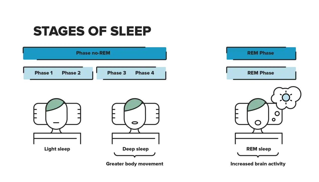 Stages of sleep diagram showing light, deep, and REM sleep. Understanding how much light sleep you should get a night is key to good rest.
