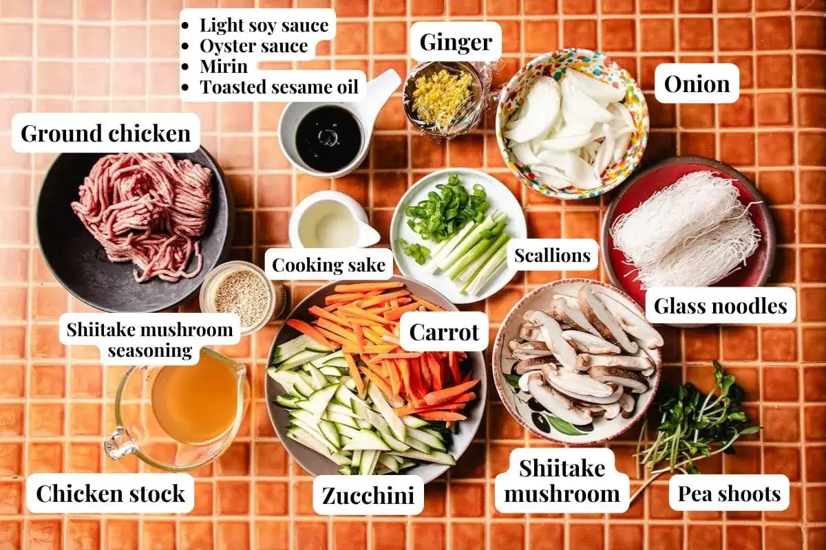 Zutaten für ein Glasnudel Rezept: Hackfleisch, Gemüse, Pilze, Glasnudeln, Sojasauce, Ingwer, Frühlingszwiebeln, Hühnerbrühe.