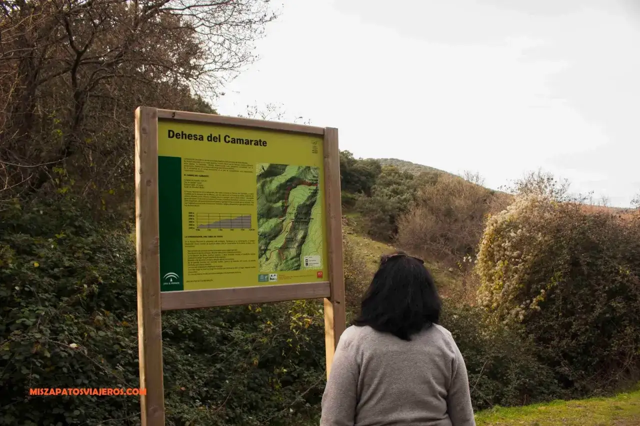 Mujer observa cartel informativo en un **bosque encantado granada**. El cartel detalla rutas y normas de conservación.