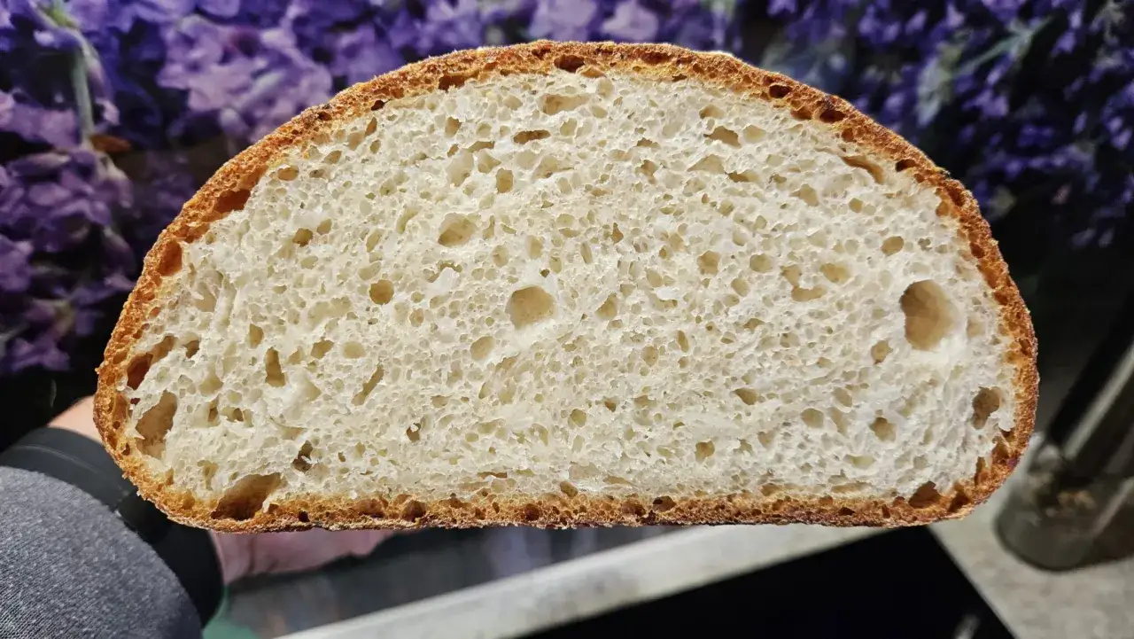 Schnitt eines frisch gebackenen Brotes mit luftiger Krume. Vielleicht das Ergebnis eines japanisches Reisbrot rezept?
