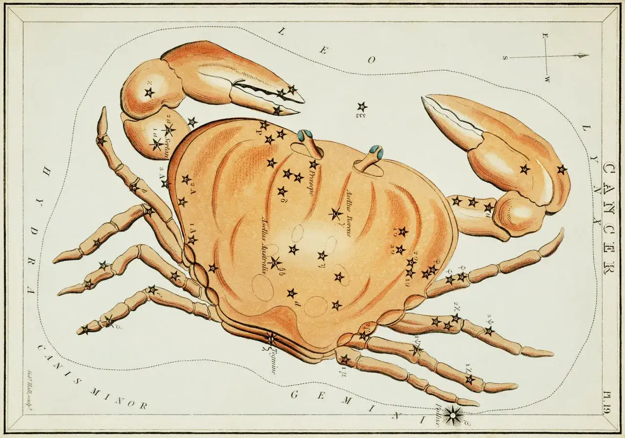 Gwiazdy tworzą konstelację Raka, po angielsku znak zodiaku.