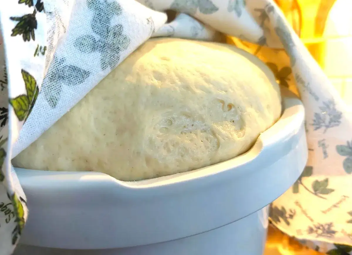 Wyrośnięte ciasto na pizzę, przykryte ściereczką z ziołowym wzorem. Idealnie pokazuje, ile powinno rosnąć ciasto na pizzę, by było puszyste.