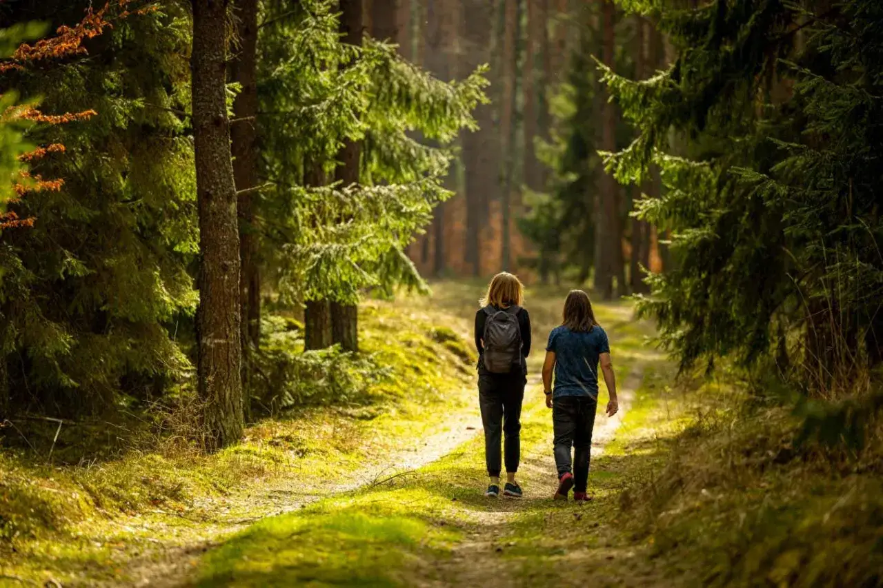 Twee personen wandelen door een bos. De zon schijnt door de bomen. Dit rustgevende beeld laat zien hoe **kan overprikkeling overgaan** door de natuur.