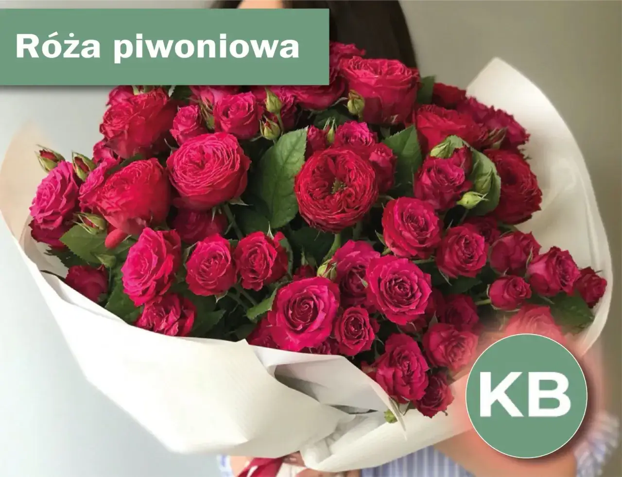 Bukiet ciemnor&oacute;żowych r&oacute;ż piwoniowych, idealny na romantyczną randkę.