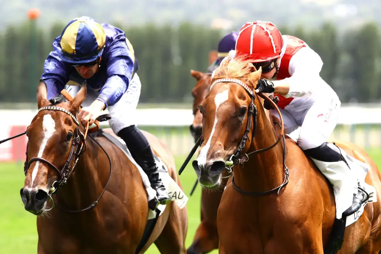Deux jockeys en pleine course, l'un en bleu et or, l'autre en rouge et blanc, se disputent la victoire dans la fili&egrave;re turf.