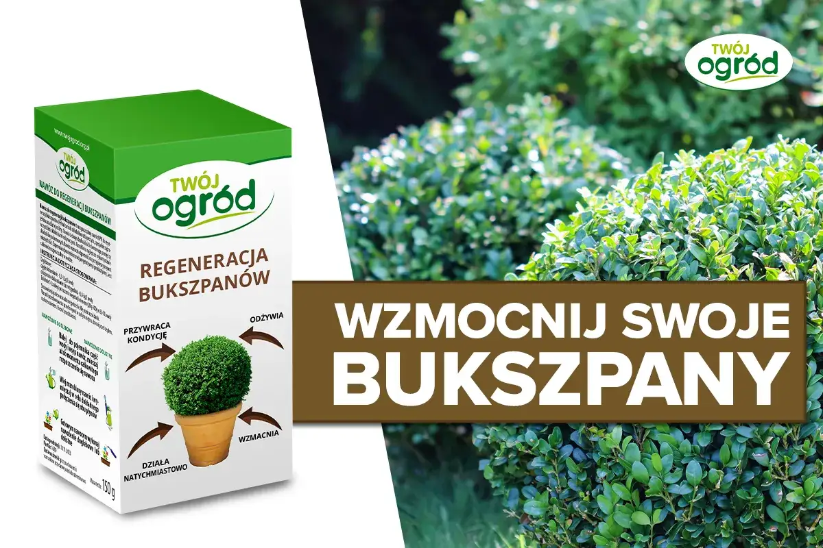 Pudełko nawozu