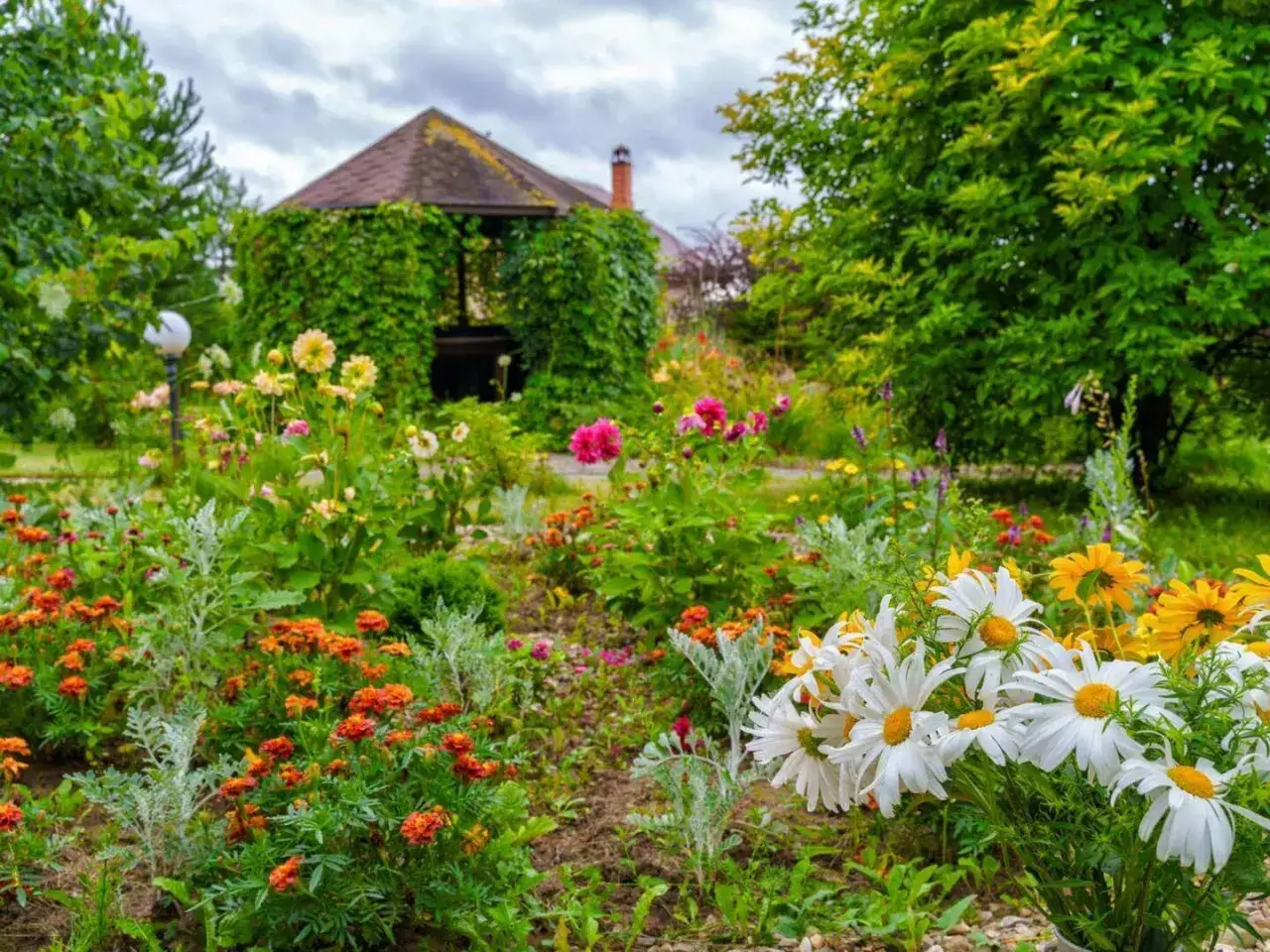 Ein üppig blühender Garten mit Margeriten, Ringelblumen und Dahlien. Ein grüner Pavillon im Hintergrund lädt zum Verweilen ein. Ein schönes Beispiel, wie man den **vorgarten gestalten** kann.