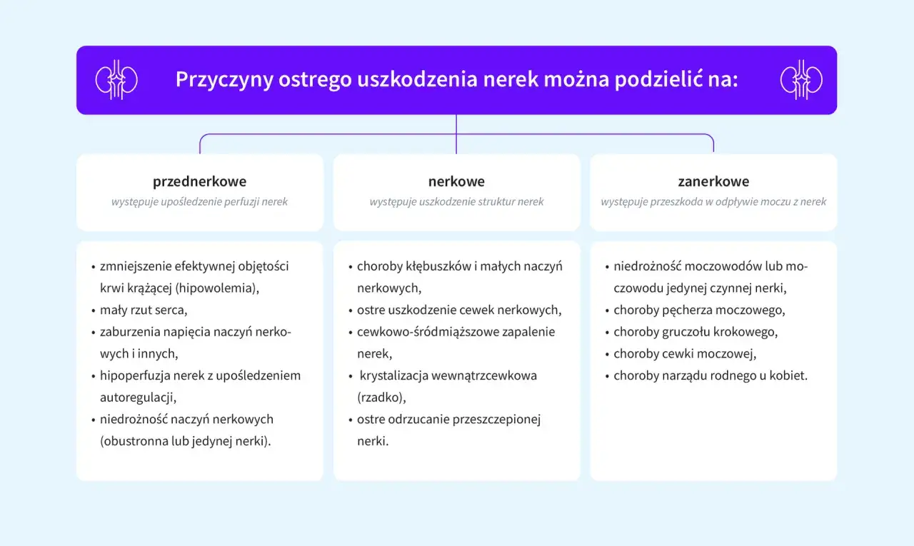 Schemat przyczyn ostrego uszkodzenia nerek (AKI): przednerkowe, nerkowe i zanerkowe.