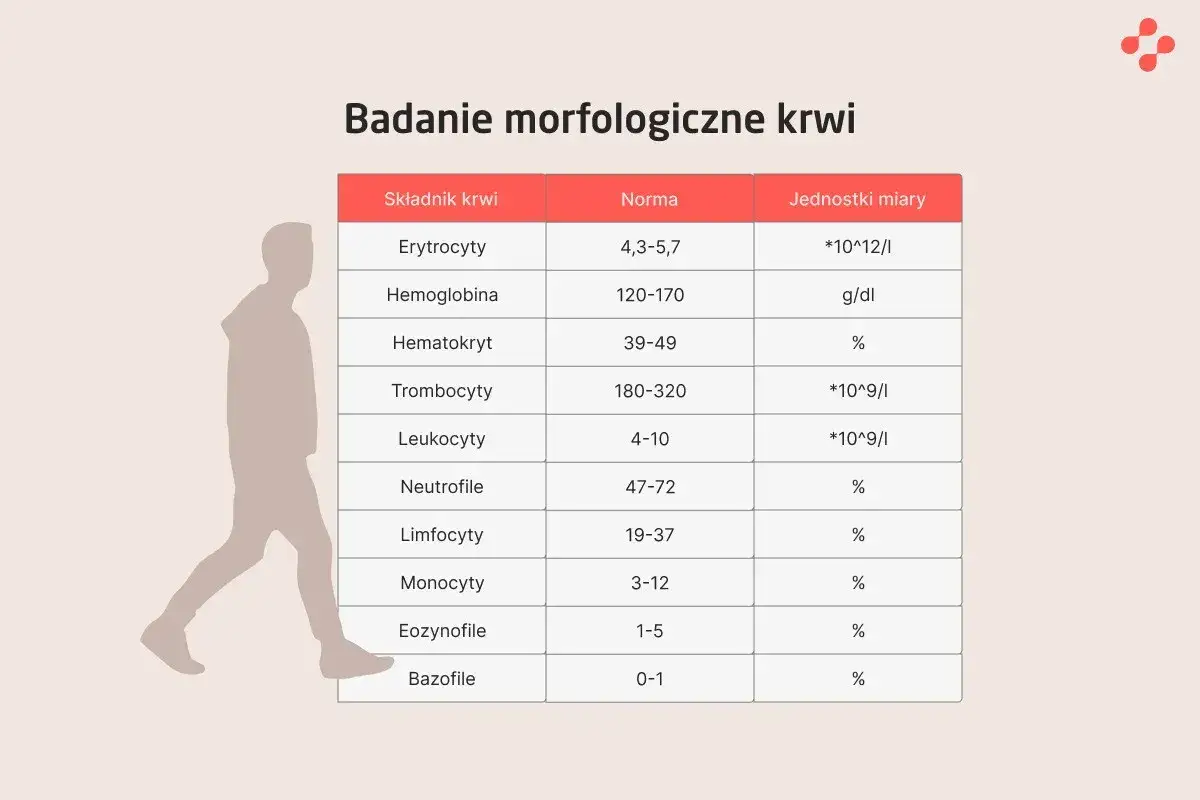 Tabela z normami badań morfologicznych krwi: erytrocyty, hemoglobina, hematokryt, trombocyty, leukocyty, neutrofile, limfocyty, monocyty, eozynofile, bazofile. CRP norma jest kluczowa dla oceny stanu zdrowia.