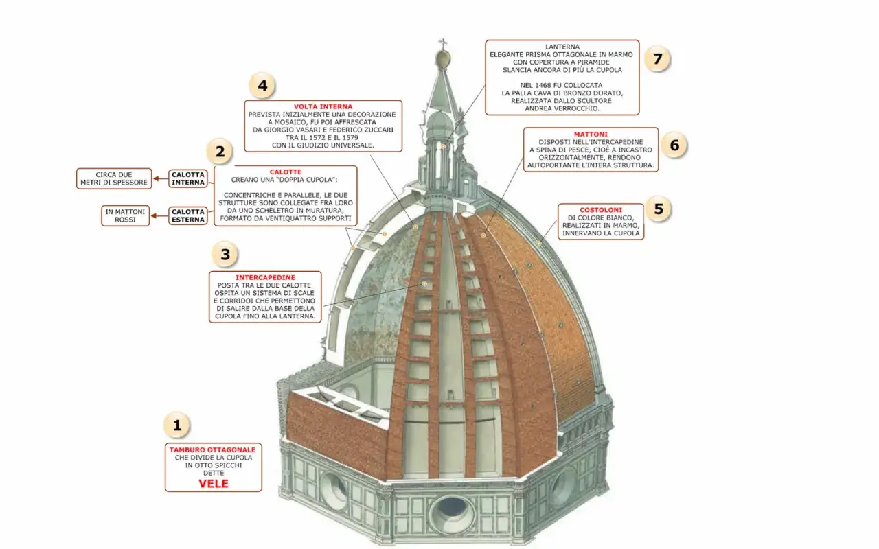 Przekrój katedry Santa Maria del Fiore. Ciekawostki o podwójnej kopule, cegłach, latarni i wewnętrznych strukturach.