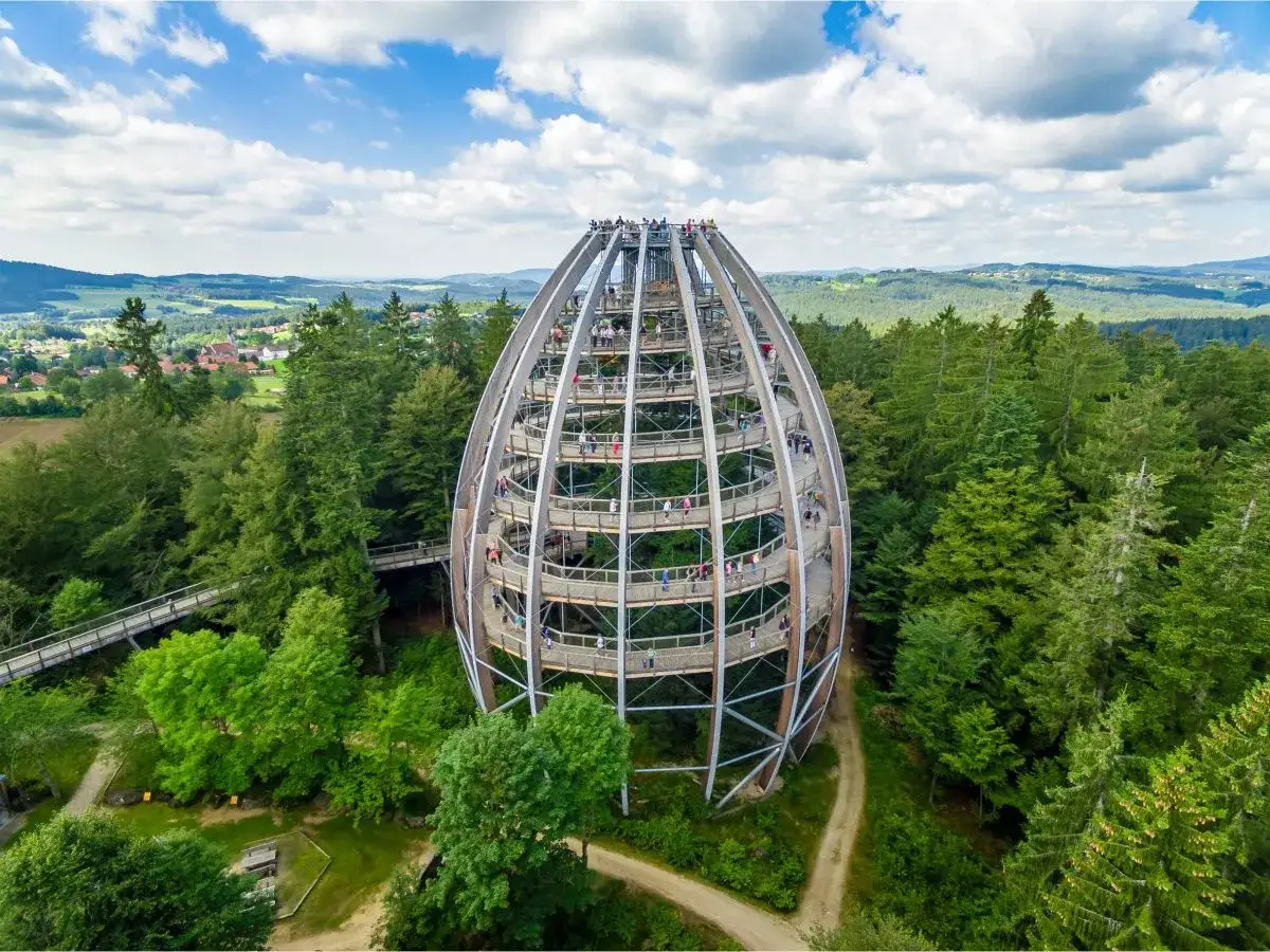 Ein futuristischer Baumwipfelpfad mit spiralförmiger Rampe, ein tolles Ausflugsziel im Bayerischen Wald.