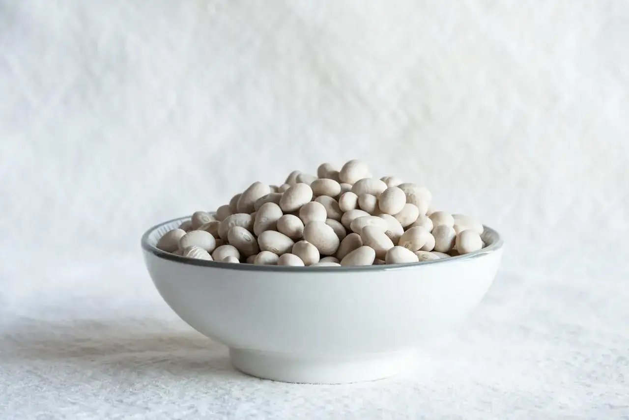 Una ciotola piena di fagioli bianchi secchi, un alimento ricco di fibre e proteine, ideale per scoprire i fagioli valori nutrizionali.