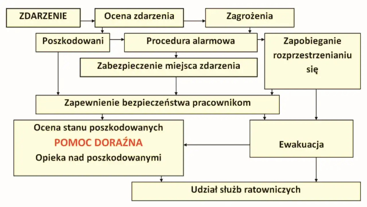 Schemat postępowania w razie wypadku, od oceny zdarzenia po pomoc doraźną i ewakuację. Wiedza ta jest kluczowa na kursie pierwszej pomocy z certyfikatem.